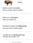 Buffalo Reading Comprehension