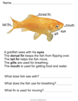 Goldfish Parts