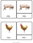Animal 3 part cards