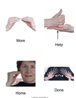 Basic Sign Language