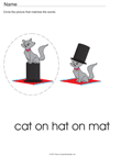 Cat, Hat and Mat CVC Words
