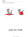 Cat and Mat