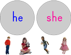 Sort "he" and "she"