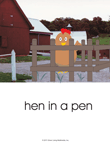 Hen In A Pen