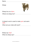 Sheep