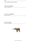 Elephant / Habitat