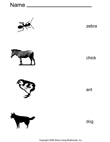 Black and White Animals