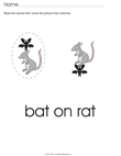 Rat and Bat