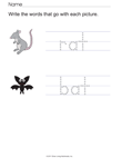 Bat and Rat