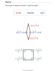 Types of Angles