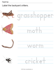 Label Insects and Worm