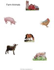 Farm Animals