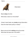 Bear Hibernation