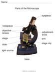 Microscope Diagram