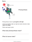 Photosynthesis Reading Comprehension